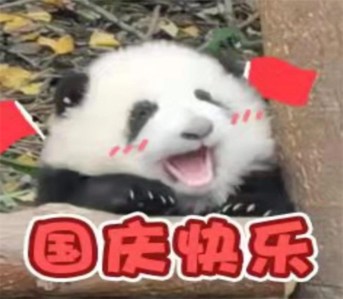 图片23.png